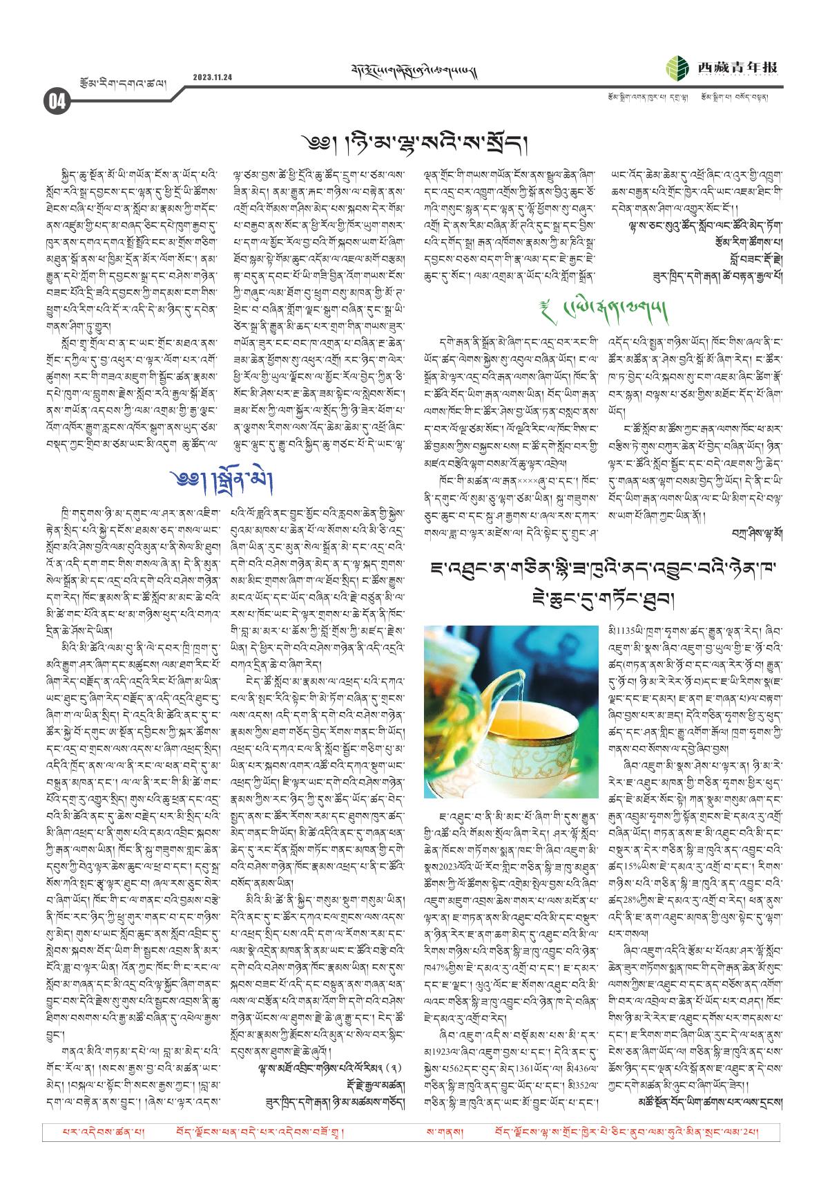 西藏青年报藏文版རྩོམ་རིག་དགའ་ཚལ།