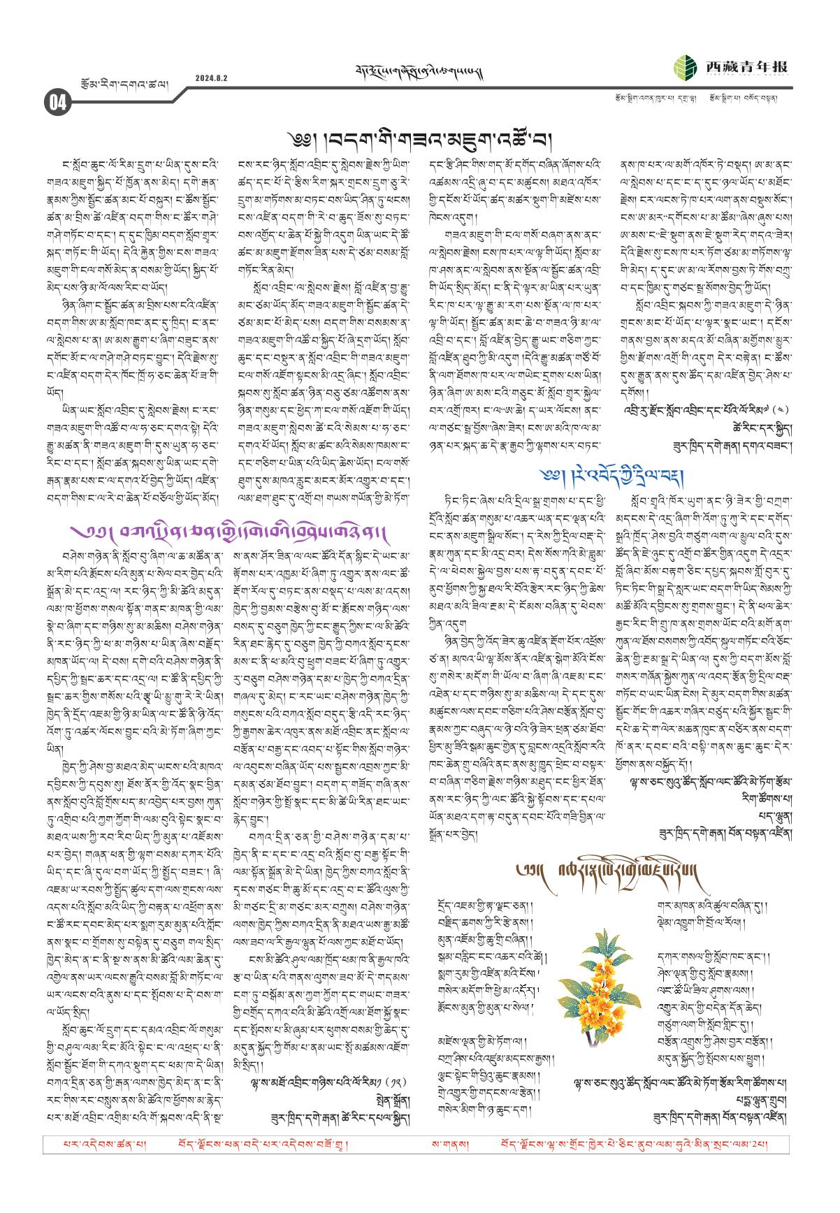 西藏青年报藏文版རྩོམ་རིག་དགའ་ཚལ།