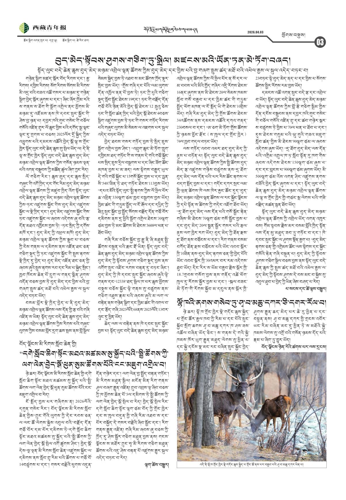 西藏青年报藏文版ཕྱོགས་བསྡུས།