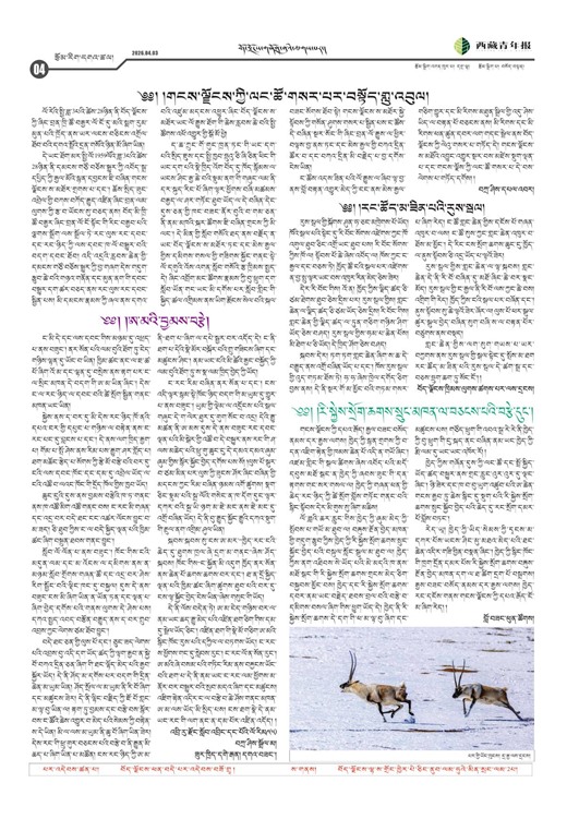 西藏青年报藏文版རྩོམ་རིག་དགའ་ཚལ།